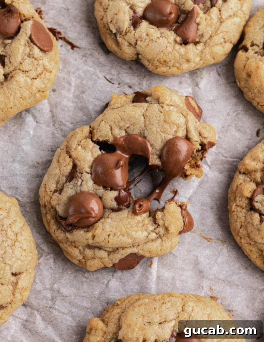 21 Heavenly Gluten-Free Cookies 2 gluten free chocolate chip cookie split apart.