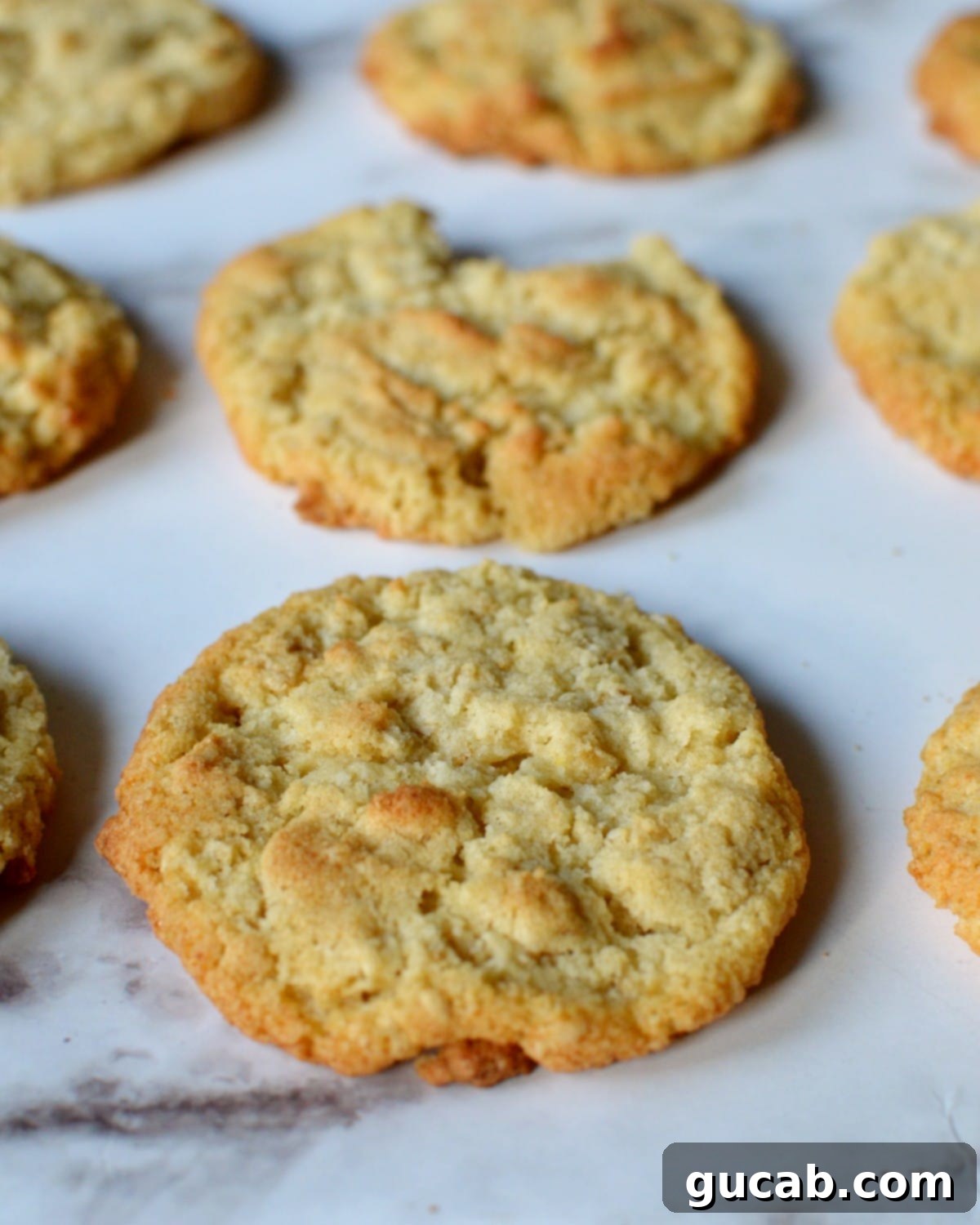 21 Heavenly Gluten-Free Cookies 18 coconut flour oatmeal cookies on counter