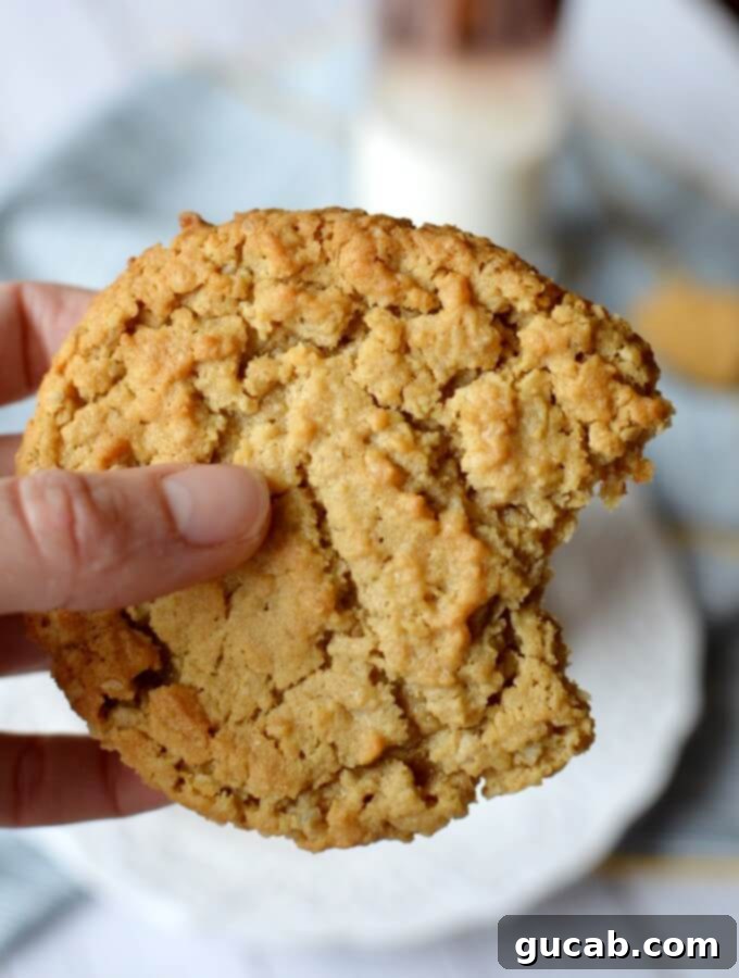 21 Heavenly Gluten-Free Cookies 3 peanut butter oatmeal chocolate chip cookies