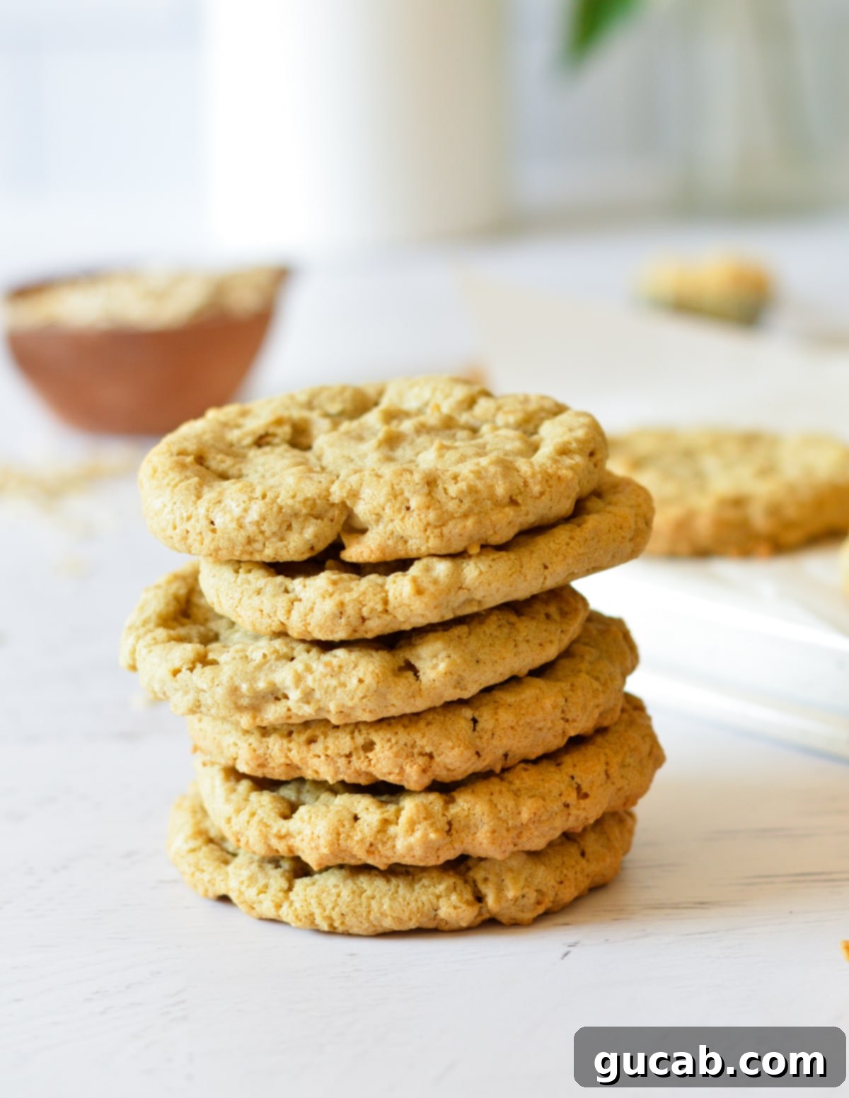 21 Heavenly Gluten-Free Cookies 21 a stack of oat flour oatmeal cookies.