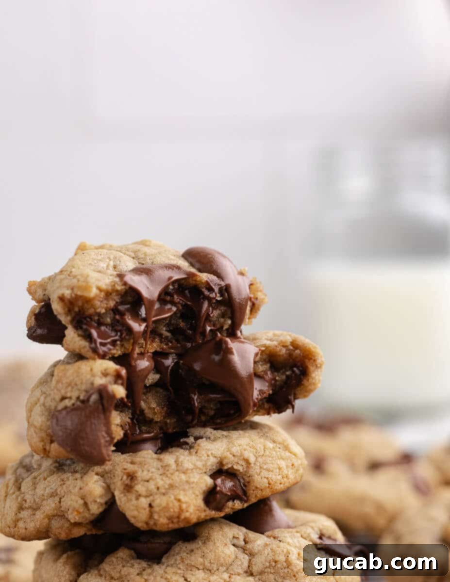 21 Heavenly Gluten-Free Cookies 4 a stack of gluten free chocolate chip cookies with chocolate oozing out.