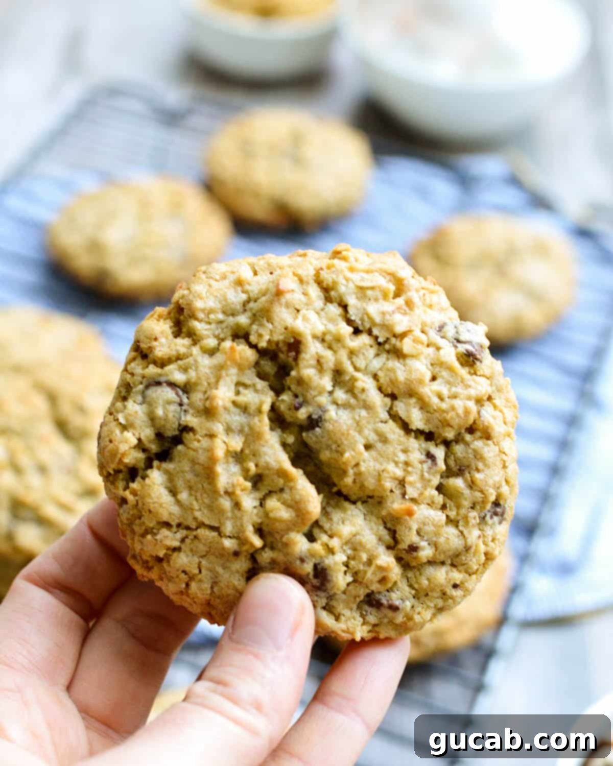 21 Heavenly Gluten-Free Cookies 5 hand holding a gluten free cowboy cookie.