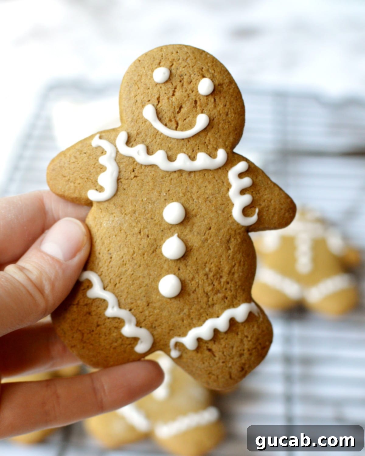 21 Heavenly Gluten-Free Cookies 8 hand holding a gluten free gingerbread man.