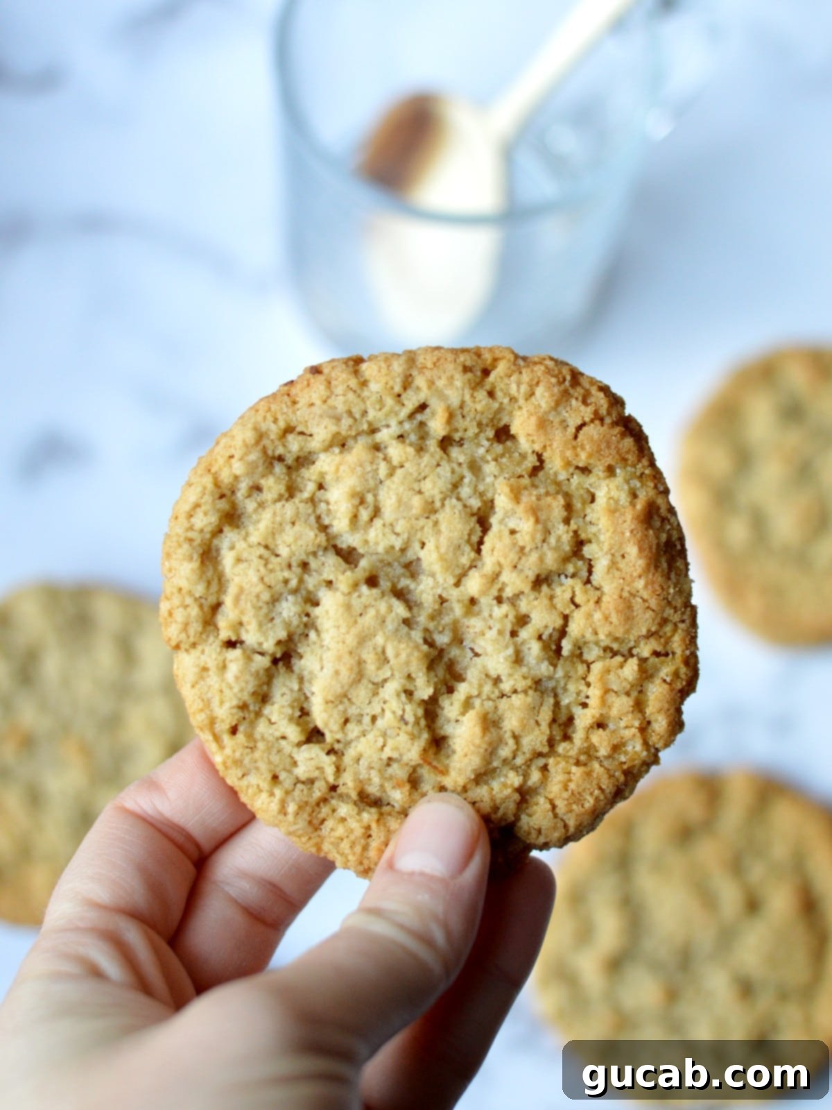 21 Heavenly Gluten-Free Cookies 10 hand holding an oatmeal cookie.