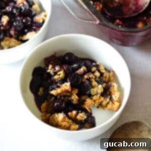 a bowl of blueberry crisp