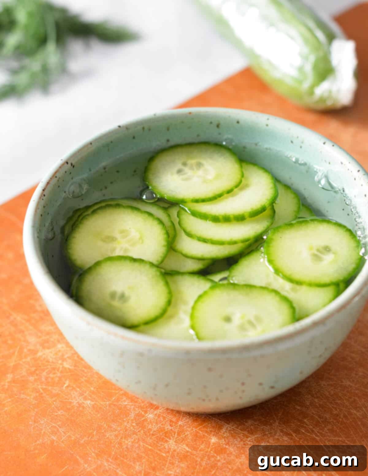 A bowl filled with thinly sliced cucumbers submerged in pickling liquid.