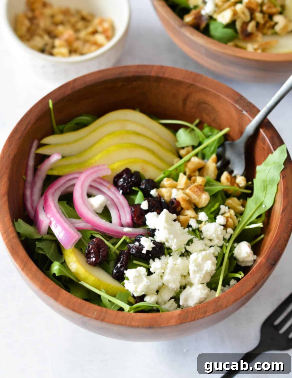 arugula salad with pears, goat cheese, onions, and cranberries.