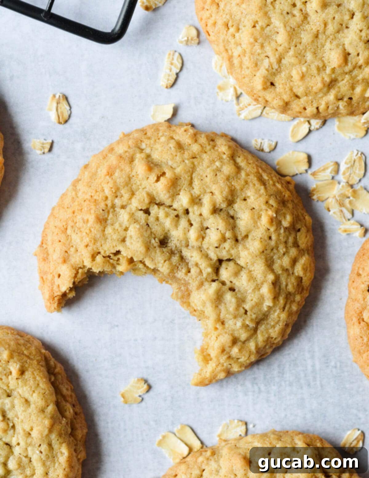 Speedy Oatmeal Delights 2 oatmeal cookie with a bite out of it.