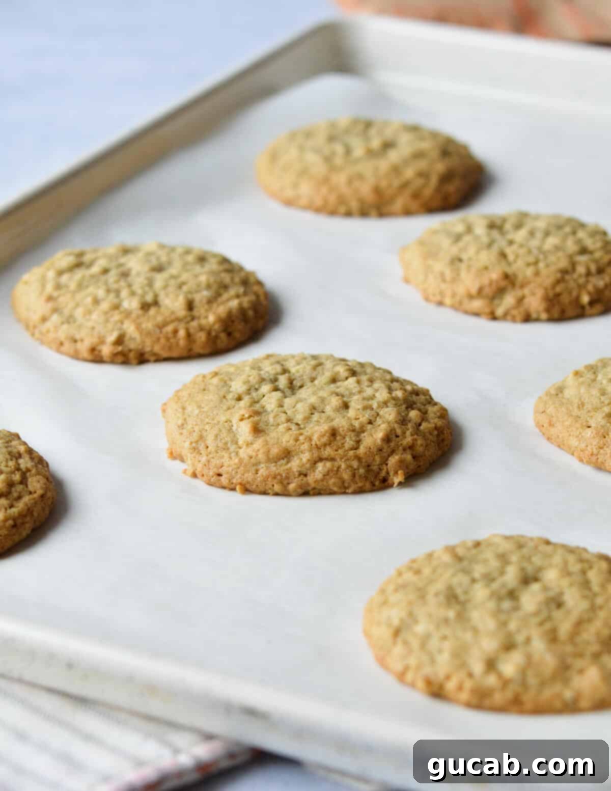 Speedy Oatmeal Delights 11 baked oatmeal cookies on a sheet pan.