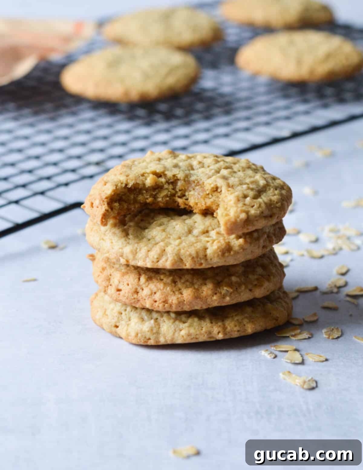 Speedy Oatmeal Delights 13 a stack of oatmeal cookies.