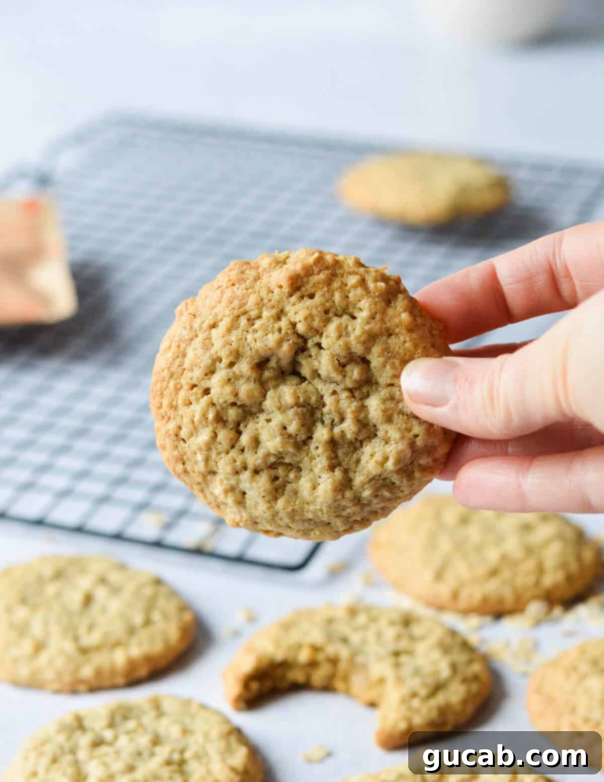 Speedy Oatmeal Delights 14 hand holding an oatmeal cookie.