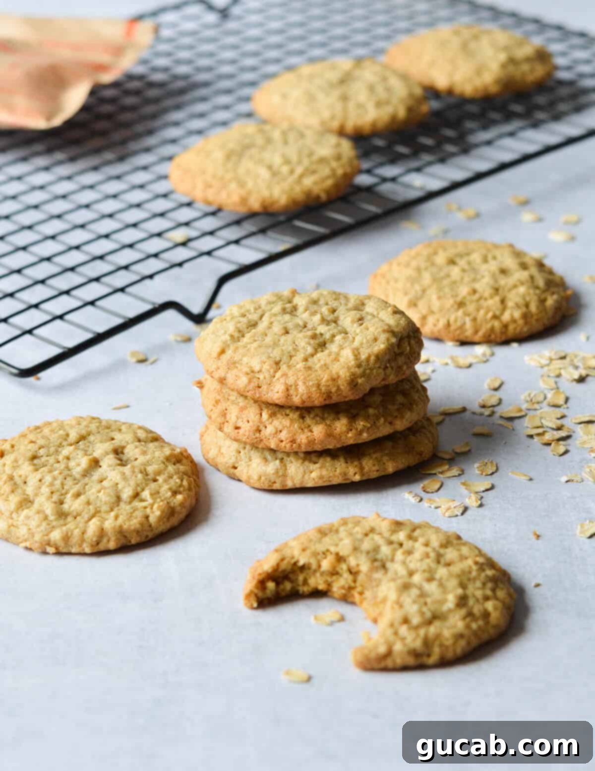 Speedy Oatmeal Delights 15 a stack of oatmeal cookies.