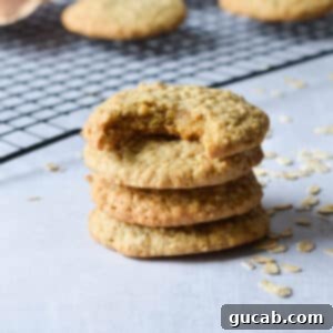 Speedy Oatmeal Delights 16 a stack of oatmeal cookies.