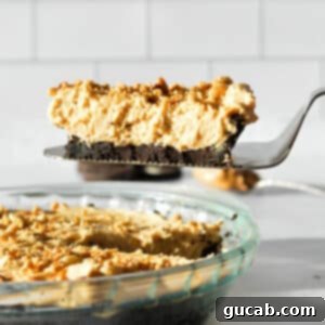The Ultimate Gluten-Free Oreo Pie Crust 15 pie server holding a slice of peanut butter pie