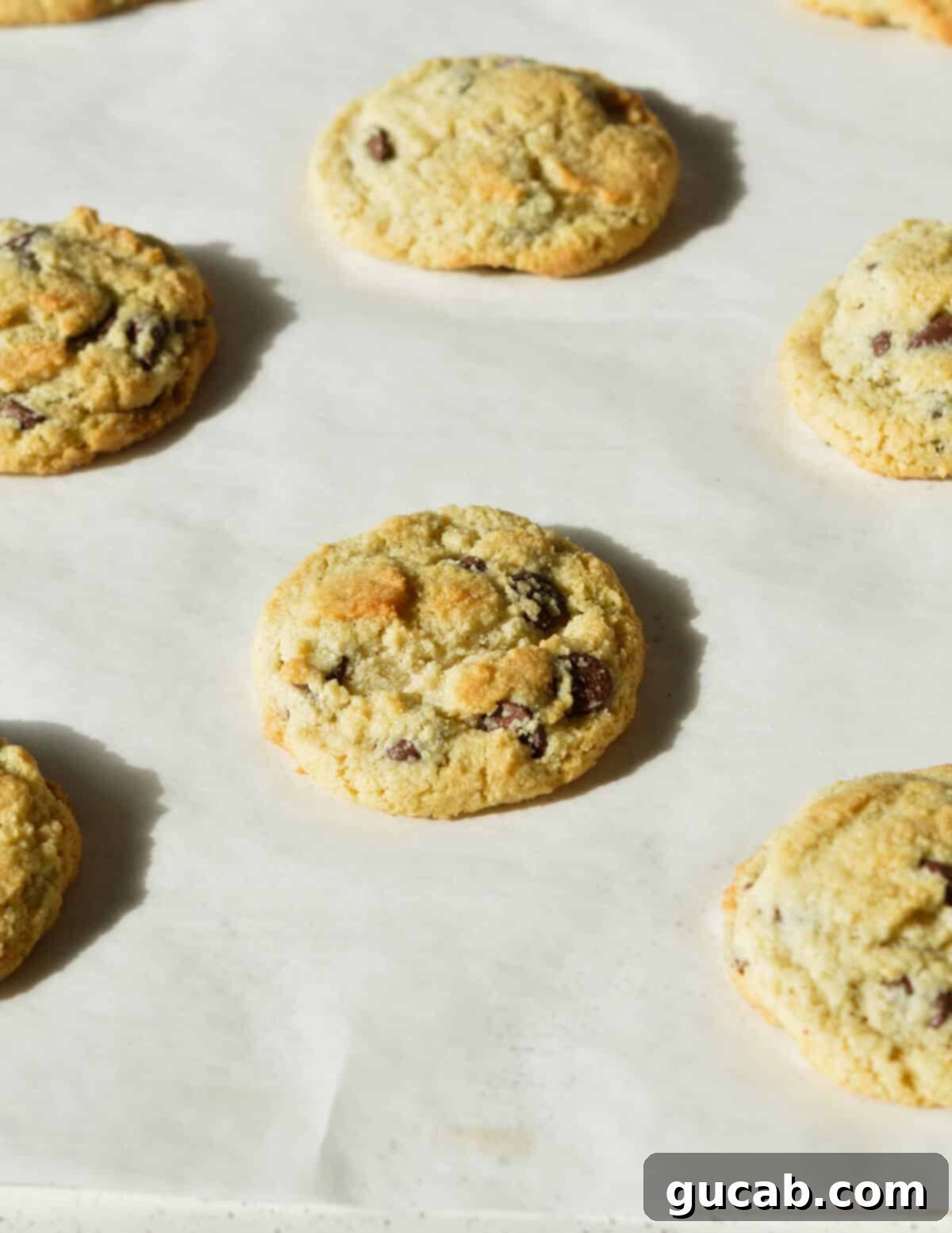 baked chocolate chip cookies on a sheet pan. 