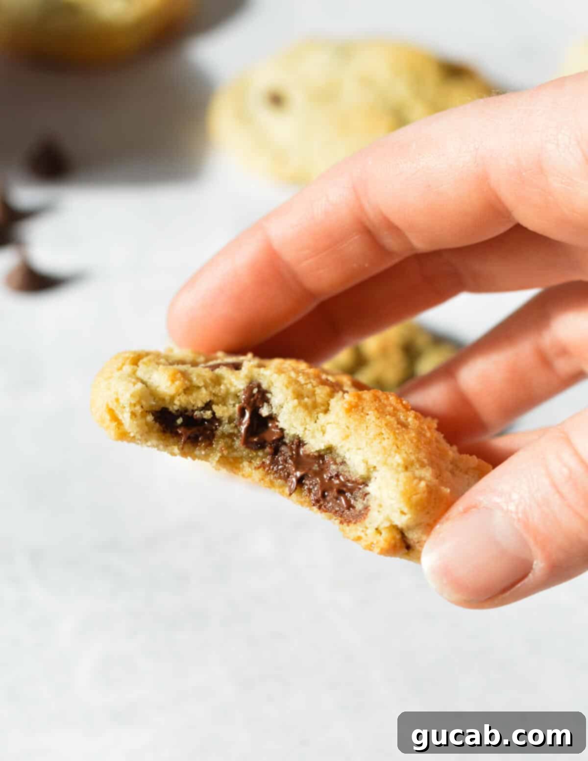 hand holding a cookie with melted chocolate in the center. 