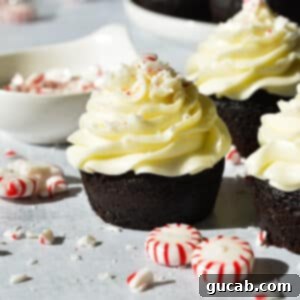 chocolate cupcake with peppermint buttercream near peppermints