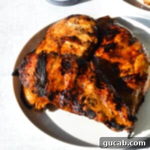 grilled chicken on a plate.