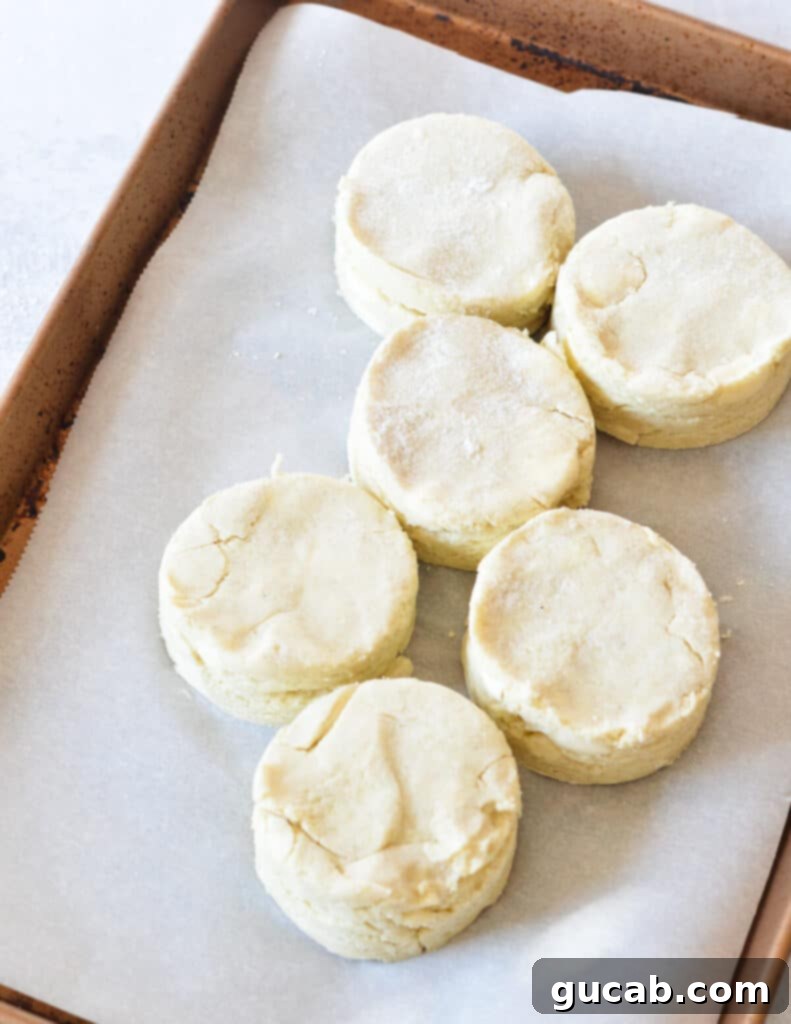 unbaked biscuits on a sheet pan. 