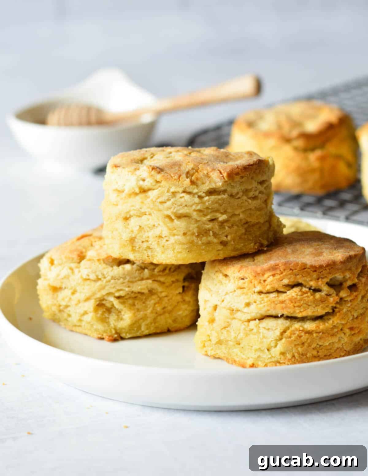 a stack of gluten free biscuits. 