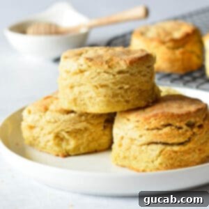 a stack of gluten free biscuits.