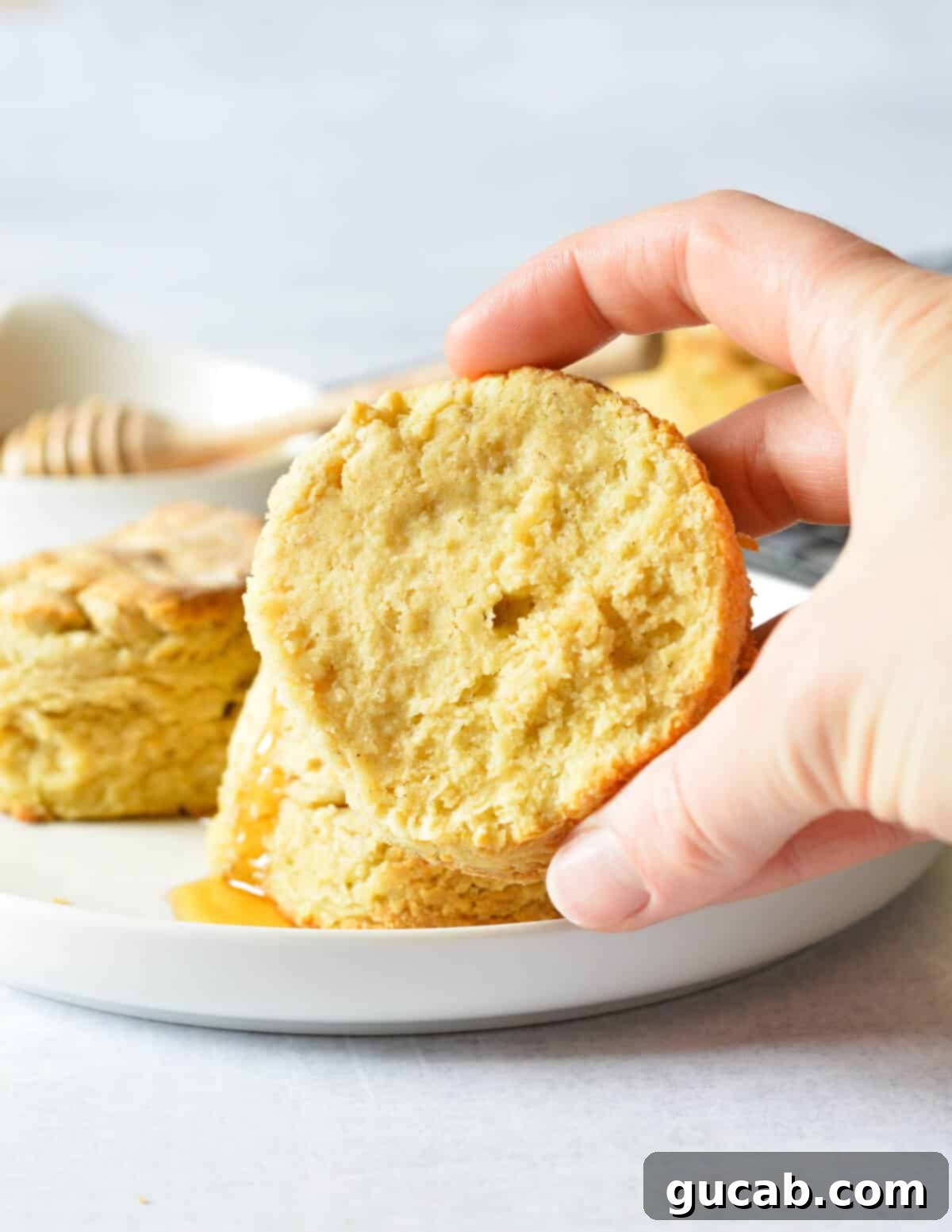 hand holding half a gluten free biscuit. 