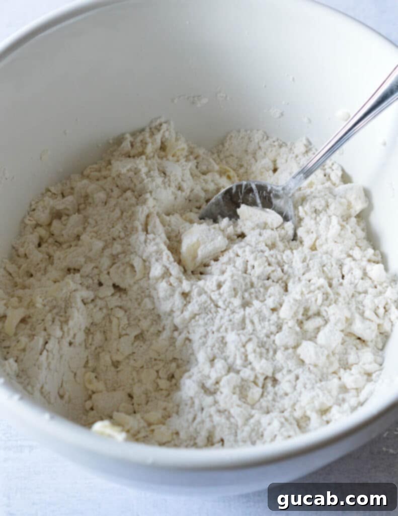 a bowl of flour and butter pieces mixed together. 
