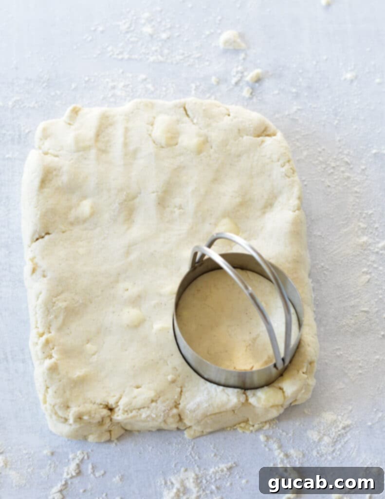 biscuit dough with biscuit cutter on top.
