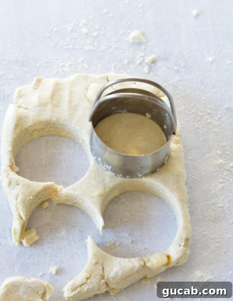 biscuit dough with biscuits cut out of it.