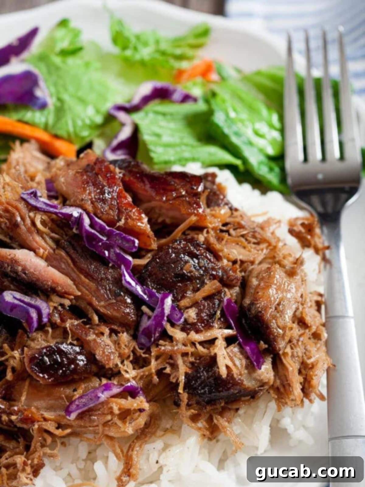 shredded pork on rice with purple cabbage on top. 