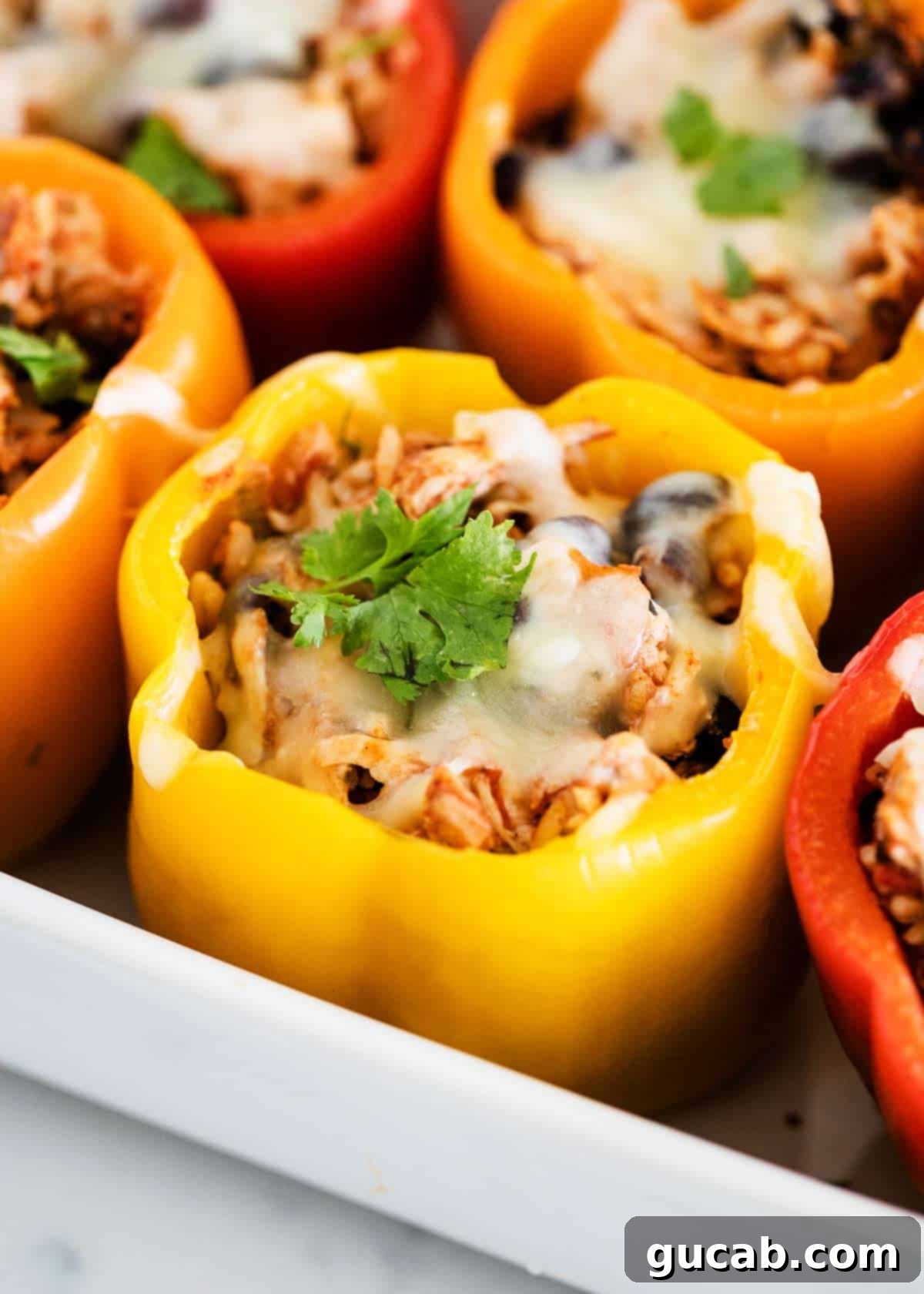 chicken stuffed peppers with melted cheese. 