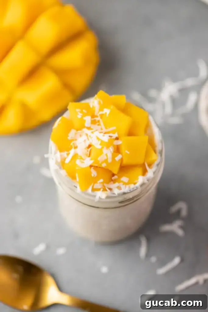 Sun-Kissed Mango Creations 14 Overnight oats topped with fresh mango chunks and toasted coconut.