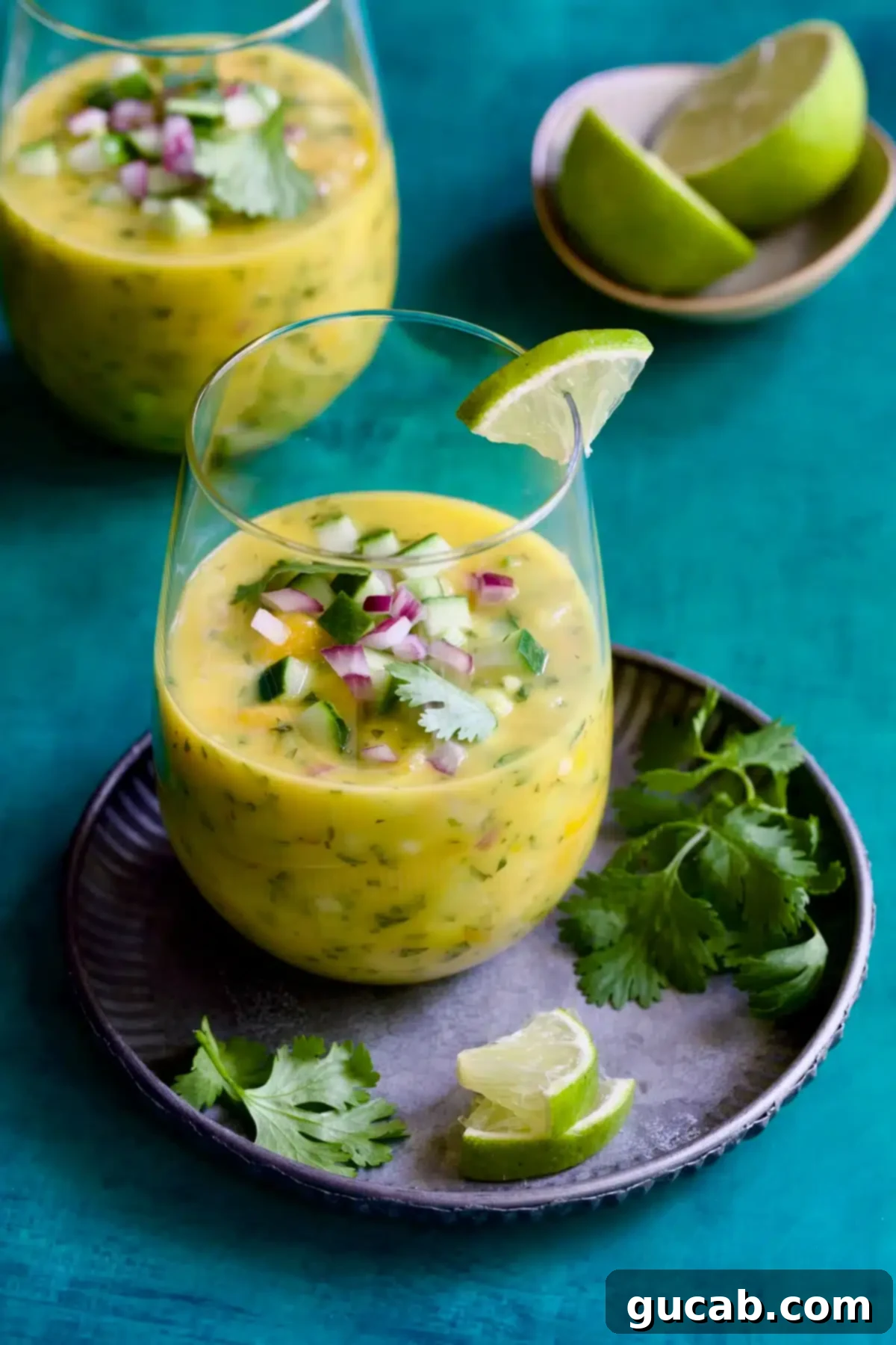 Sun-Kissed Mango Creations 17 A glass of refreshing mango gazpacho garnished with red onion and cucumber.
