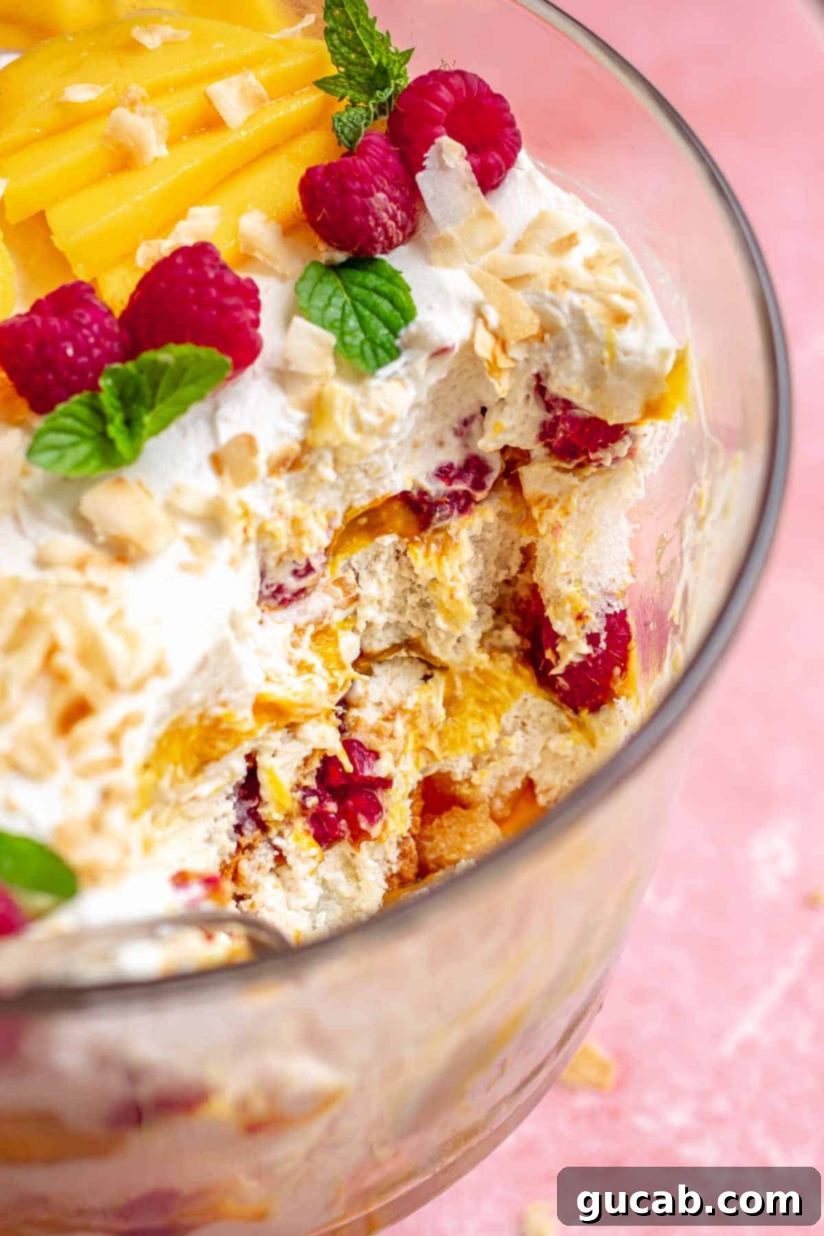 Sun-Kissed Mango Creations 22 A beautiful cross-section of a tropical mango and raspberry trifle showing layers.