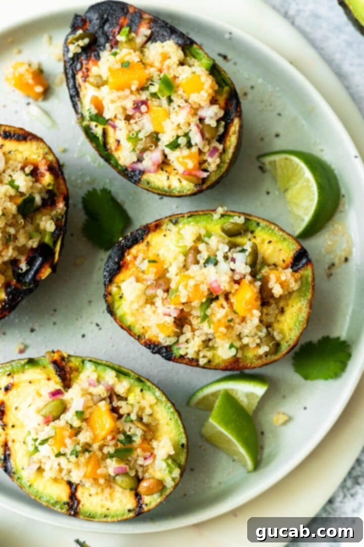 Sun-Kissed Mango Creations 9 Grilled avocado halves generously stuffed with a colorful quinoa and mango salad.