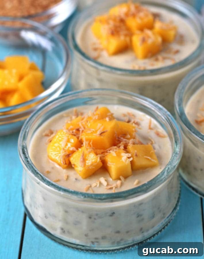 Sun-Kissed Mango Creations 10 Creamy chia pudding with fresh chopped mango and toasted coconut flakes on top.
