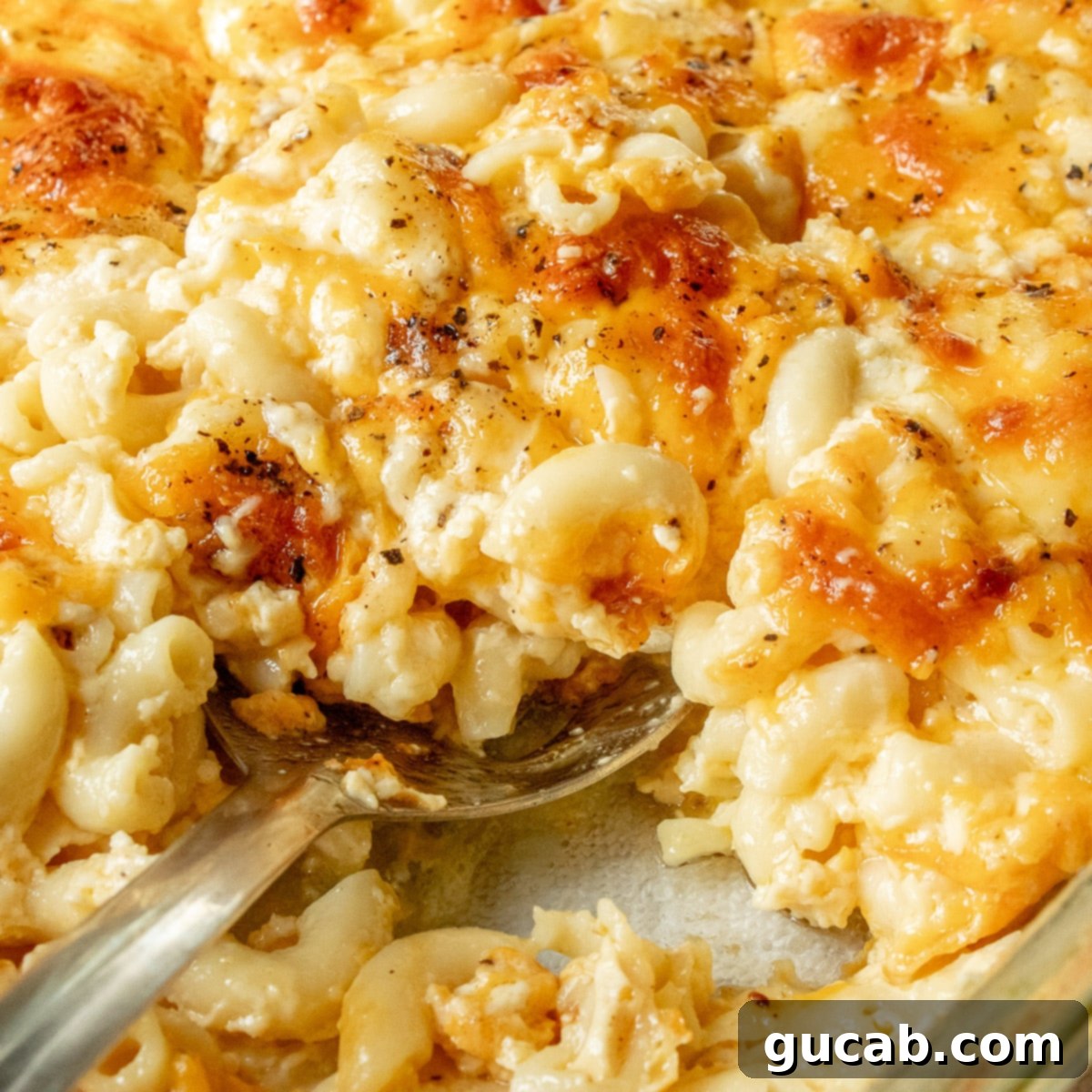 A generously sized casserole dish of rich, creamy Southern baked mac and cheese, with a large serving spoon nestled in its golden, bubbly depths.