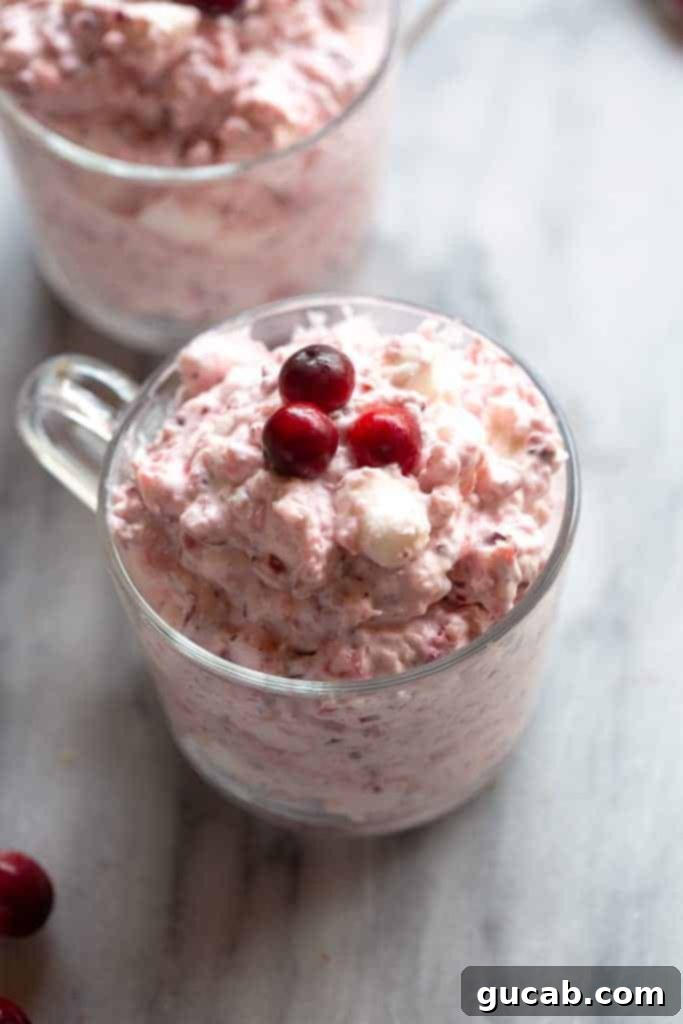 A charming cup of vibrant pink cranberry fluff salad, adorned with mini marshmallows and crushed pineapple, a perfect blend of sweet and tart.