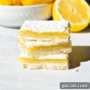 A stack of golden gluten-free lemon bars dusted with powdered sugar.