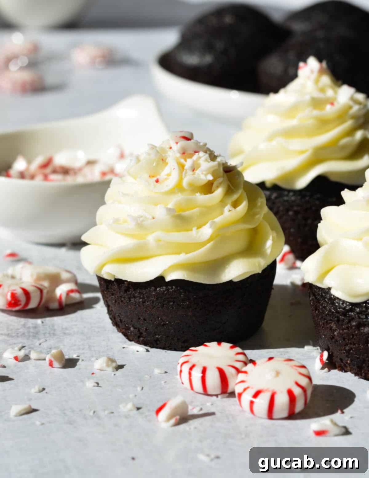 19 Peppermint Desserts to Sweeten Your Holidays 2 chocolate cupcake with peppermint buttercream.