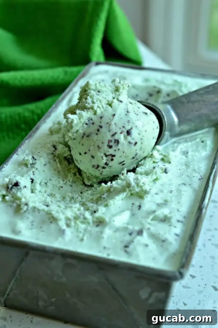 19 Peppermint Desserts to Sweeten Your Holidays 11 a scoop of mint chocolate chip ice cream.