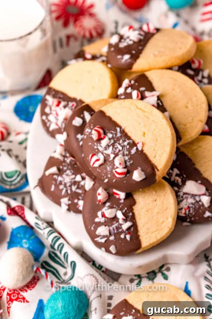 19 Peppermint Desserts to Sweeten Your Holidays 19 a plate of chocolate dipped peppermint cookies.