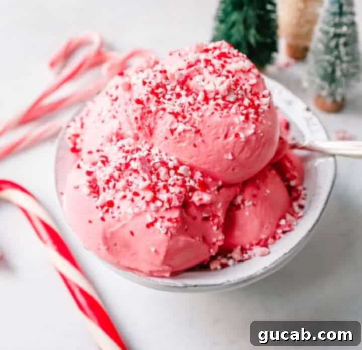 19 Peppermint Desserts to Sweeten Your Holidays 21 a scoop of peppermint ice cream.