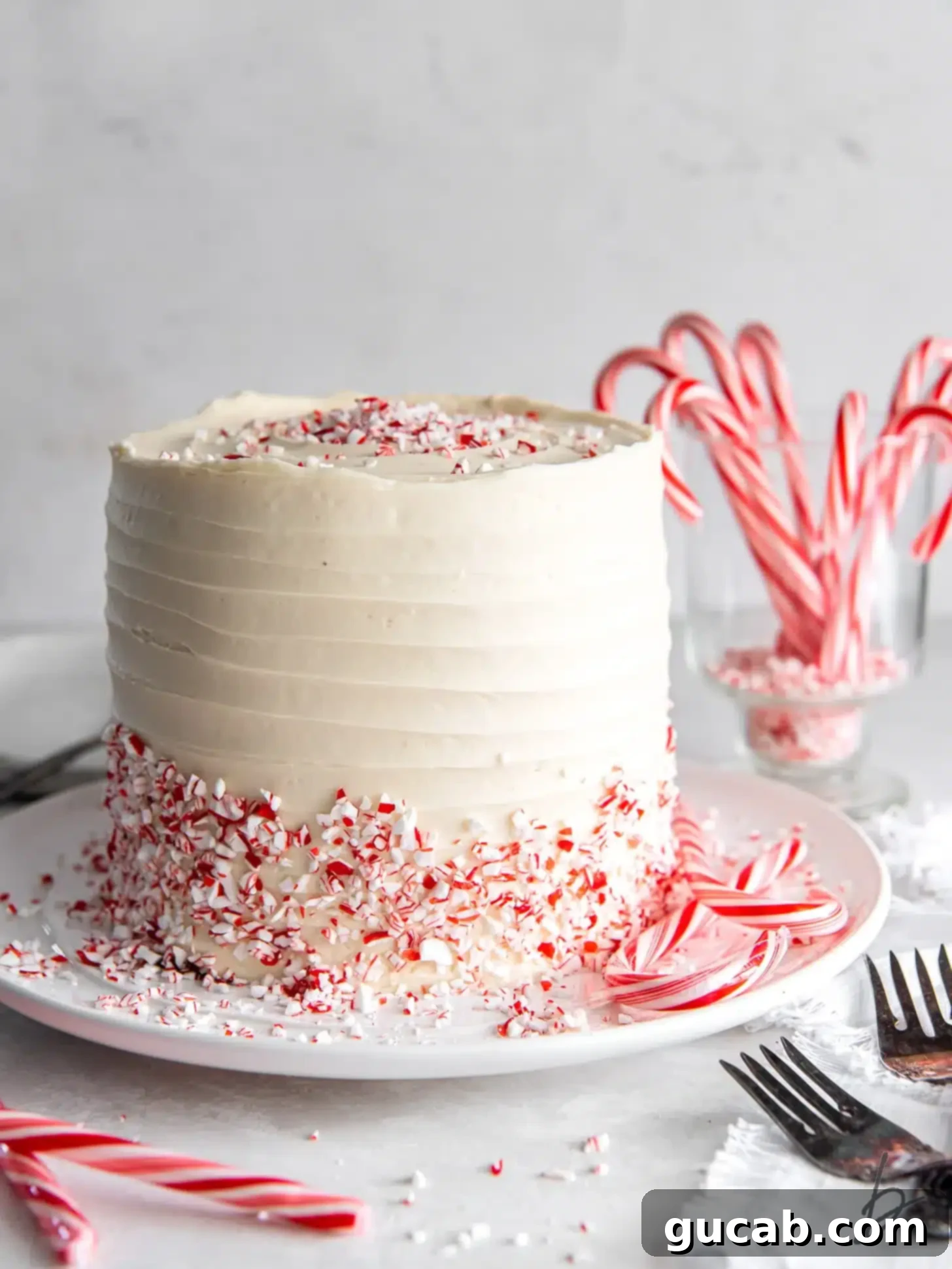 19 Peppermint Desserts to Sweeten Your Holidays 6 chocolate peppermint cake with crushed peppermint candies around it.