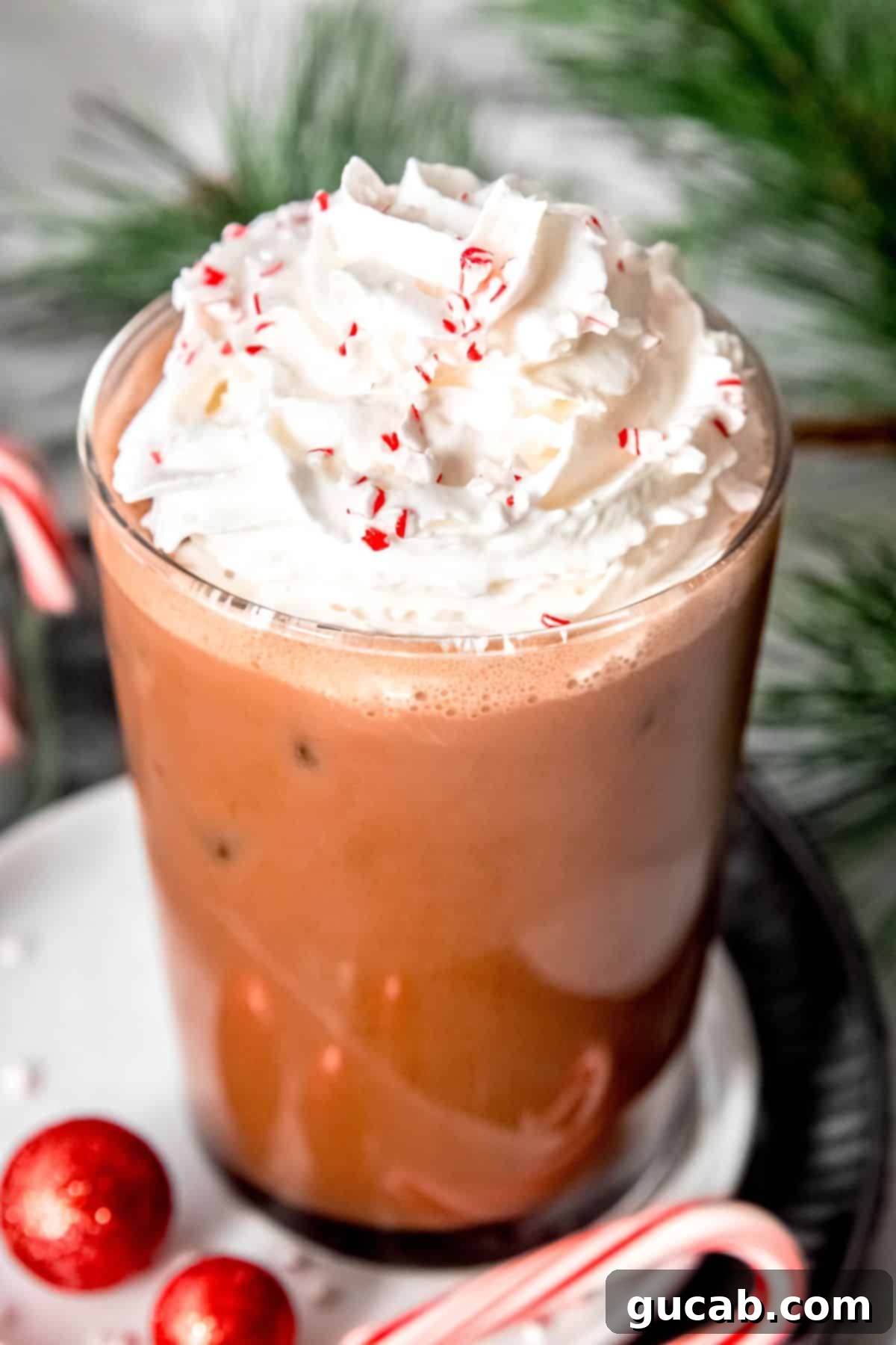19 Peppermint Desserts to Sweeten Your Holidays 7 iced peppermint mocha with whipped cream and crushed peppermints.