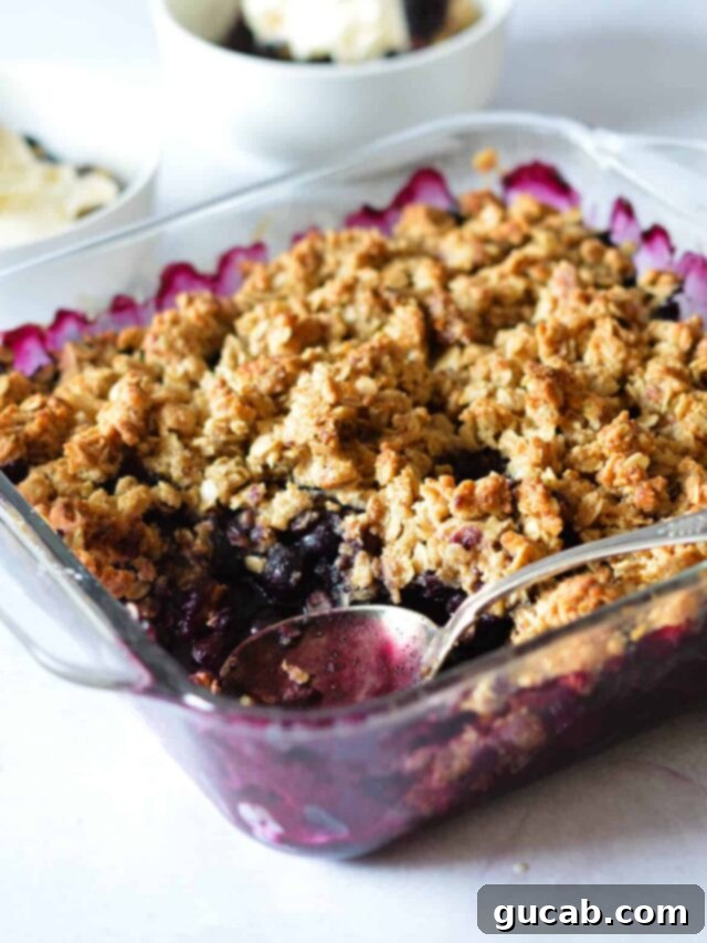 A delectable blueberry crisp, golden brown and bubbling, with a spoon nestled into its warm, fruity filling, ready to be enjoyed.