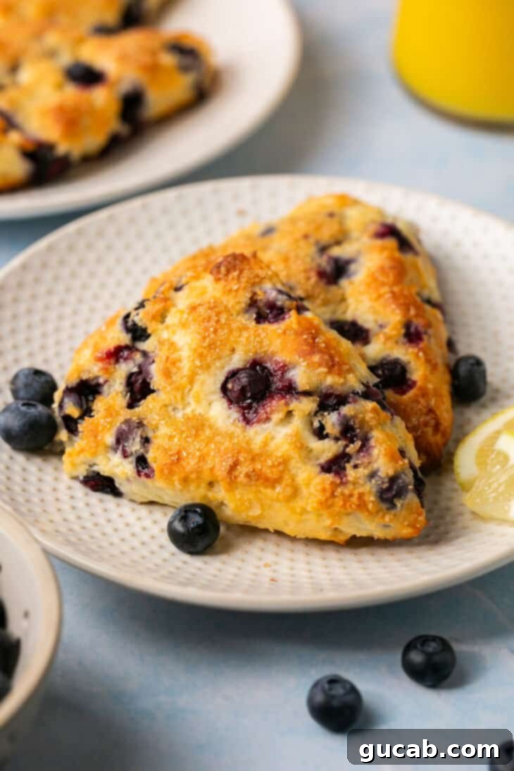 A selection of freshly baked blueberry scones artfully arranged on a white plate, ready to be enjoyed.