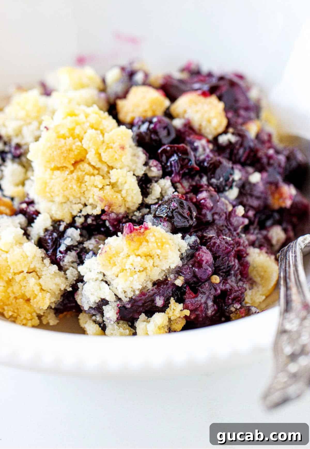 A serving of warm blueberry dump cake in a bowl, showcasing its bubbly fruit and cake topping.