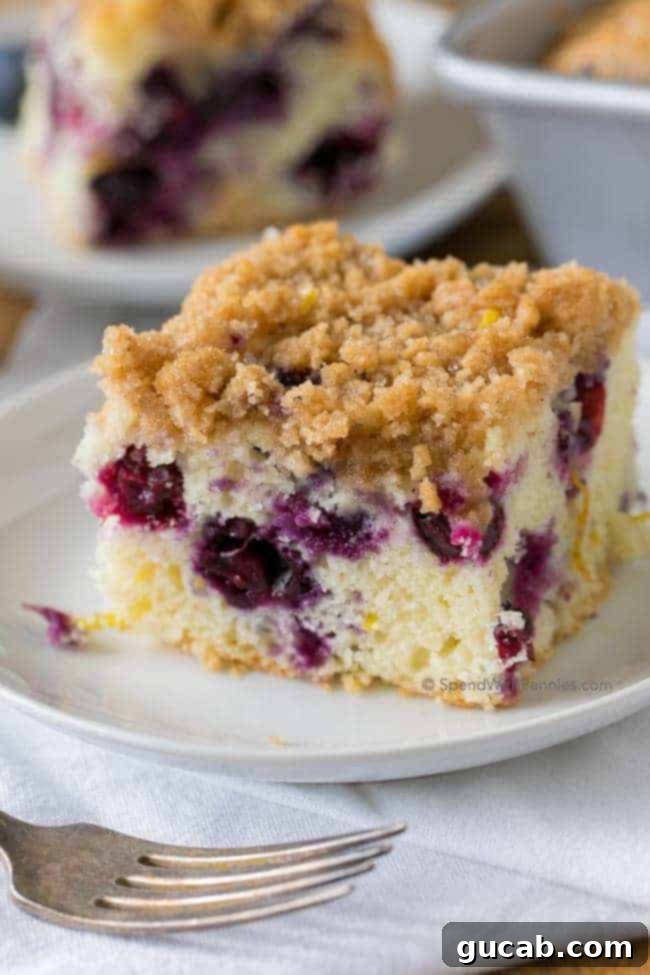 A perfectly portioned slice of blueberry buckle, revealing a tender cake studded with berries and a generous streusel topping.