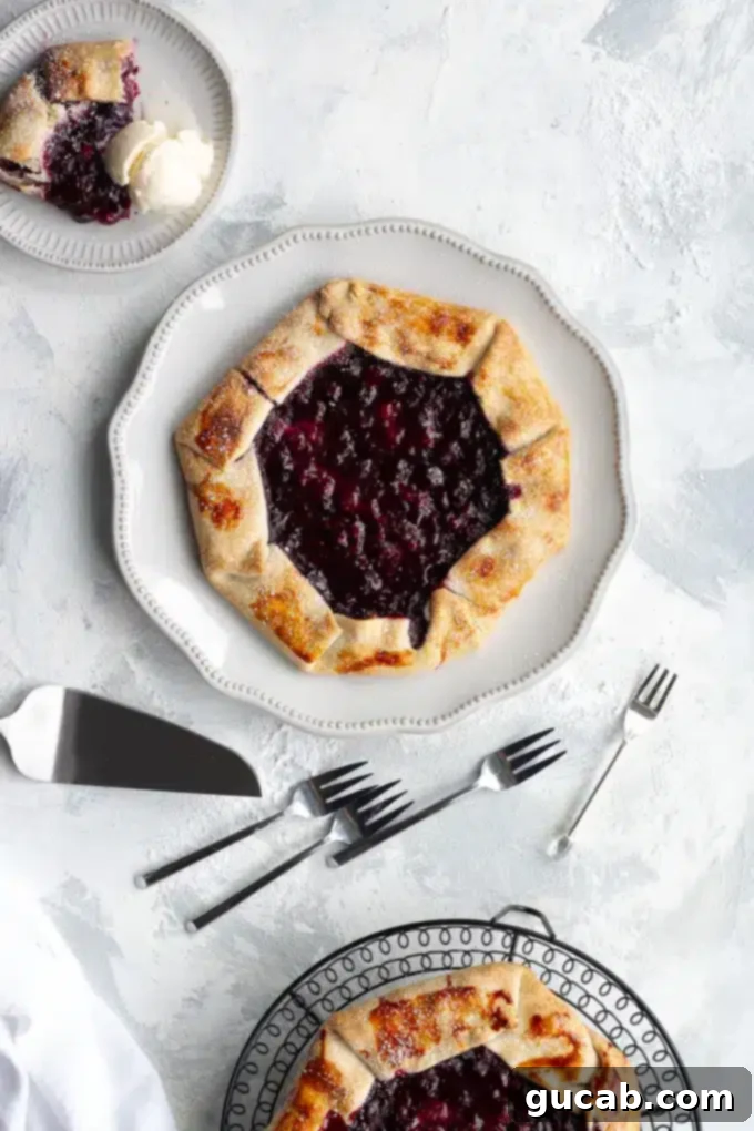 A beautifully rustic blueberry galette, with its free-form crust gently folded around a vibrant blueberry filling.